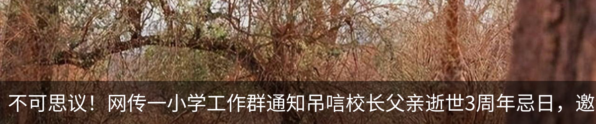 热点资讯